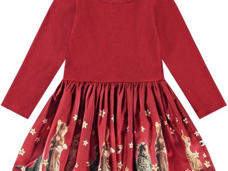 Molo Velvety Kittens Candi Dress Online Sale