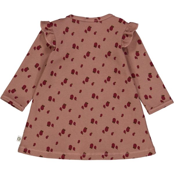 Müsli Daydream  Cabernet  Bark Apple Dress Online