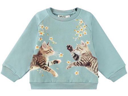 Molo Kitten Star Dusty Disc Sweatshirt Sale