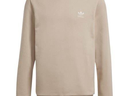 adidas Originals Magbei Crew Sweatshirt Online