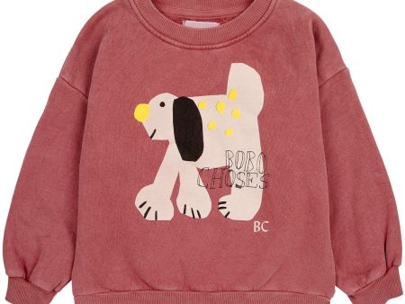 Bobo Choses Dark Brown Fairy DAnd Crewneck Fashion