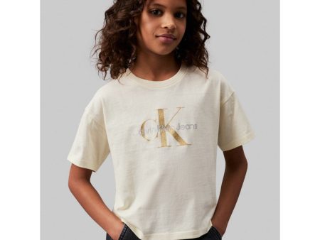 Calvin Klein Afterglow Glitter MonAndram Boxy Tee Ss For Discount